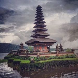 Meet your Posher, Whitney